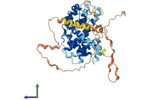 AlphaFold protein structure predicition of Human Recombinant CCNJL Protein, UniprotID Q8IV13