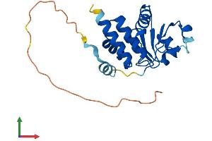 AlphaFold protein structure predicition of Human Recombinant DUSP26 Protein, UniprotID Q9BV47