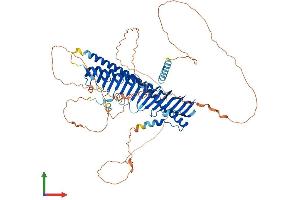 AlphaFold protein structure predicition of Human Recombinant JPH1 Protein, UniprotID Q9HDC5