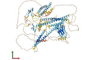 AlphaFold protein structure predicition of Mouse Recombinant Wwc1 Protein, UniprotID Q5SXA9