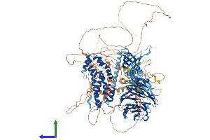 AlphaFold protein structure predicition of Human Recombinant ARHGEF10 Protein, UniprotID O15013