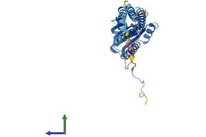 AlphaFold protein structure predicition of Human Recombinant DUOXA2 Protein, UniprotID Q1HG44