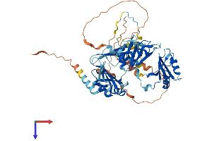 AlphaFold protein structure predicition of Human Recombinant RBM46 Protein, UniprotID Q8TBY0