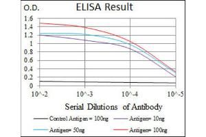 ELISA image for anti-Mitogen-Activated Protein Kinase 8 (MAPK8) antibody (ABIN1845583) (JNK anticorps)