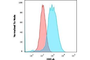 Flow Cytometric Analysis of MCF-7 cells using Estrogen Receptor alpha Mouse Monoclonal Antibody (ESR1/3559) followed by goat anti-Mouse IgG-CF488 (Blue); Isotype Control (Red).