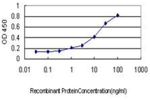 Detection limit for recombinant GST tagged TPMT is approximately 0. (TPMT anticorps  (AA 1-245))