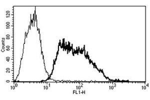 Flow Cytometry (FACS) image for anti-Selectin E (SELE) antibody (ABIN1106491) (Selectin E/CD62e anticorps)