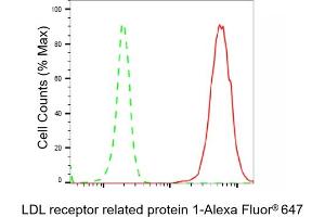 Flow cytometric analysis of LDL receptor related protein 1 expression in C2C12 cells using LDL receptor related protein 1 antibody (ABIN7799281), 1:2,000).