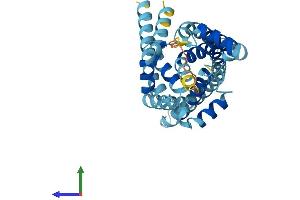 AlphaFold protein structure predicition of Human Recombinant SLC25A47 Protein, UniprotID Q6Q0C1