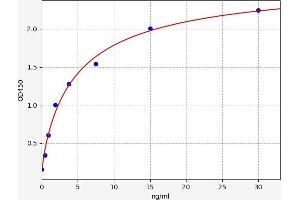 Ferritin (FE) ELISA Kit