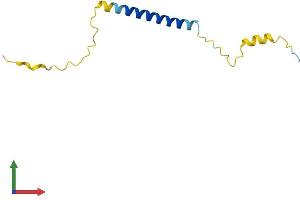 AlphaFold protein structure predicition of Mouse Recombinant Smagp Protein, UniprotID Q99KC7