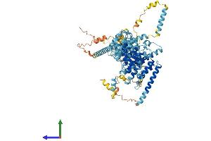 AlphaFold protein structure predicition of Human Recombinant NOC3L Protein, UniprotID Q8WTT2