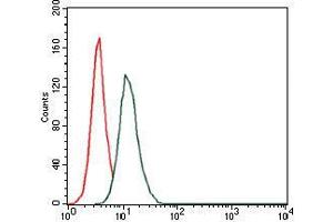Flow cytometric analysis of HeLa cells using HAS3 mouse mAb (green) and negative control (red).