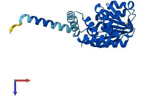 AlphaFold protein structure predicition of Human Recombinant COMT Protein, UniprotID P21964