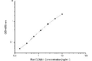 Typical standard curve (Cyclin A1 Kit ELISA)