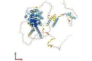 AlphaFold protein structure predicition of Human Recombinant DDX27 Protein, UniprotID Q96GQ7