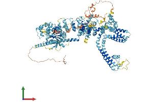 AlphaFold protein structure predicition of Human Recombinant TRPM5 Protein, UniprotID Q9NZQ8