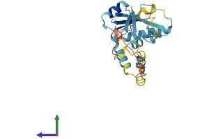 AlphaFold protein structure predicition of Mouse Recombinant Socs3 Protein, UniprotID O35718