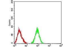 anti-CD177 Molecule (CD177) (AA 22-161) antibody