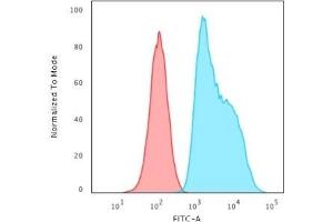 Flow Cytometric Analysis of trypsinised HeLa cells. (S100A2 anticorps)