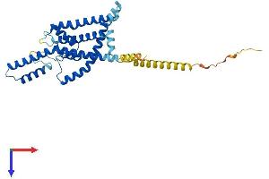 AlphaFold protein structure predicition of Mouse Recombinant Kcnk1 Protein, UniprotID O08581