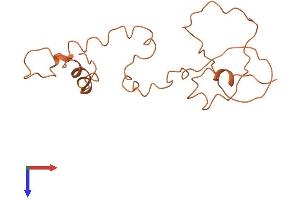 AlphaFold protein structure predicition of Human Recombinant KRTAP9-2 Protein, UniprotID Q9BYQ4