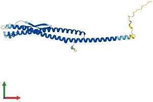 AlphaFold protein structure predicition of Human Recombinant ATP6V1D Protein, UniprotID Q9Y5K8