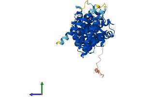 AlphaFold protein structure predicition of Mouse Recombinant Fbxo47 Protein, UniprotID A2A6H3