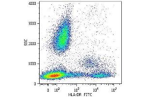 Surface staining of human peripheral blood cells with anti-human HLA-DR (MEM-12) FITC. (HLA-DR anticorps  (PerCP))