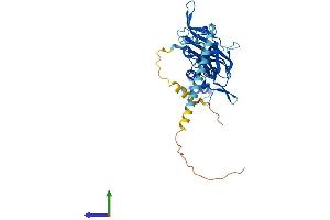 AlphaFold protein structure predicition of Mouse Recombinant Kcnj8 Protein, UniprotID P97794