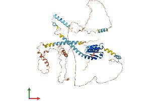 AlphaFold protein structure predicition of Mouse Recombinant Ncoa5 Protein, UniprotID Q91W39