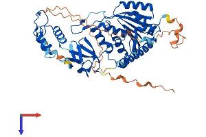AlphaFold protein structure predicition of Mouse Recombinant Trmt6 Protein, UniprotID Q8CE96