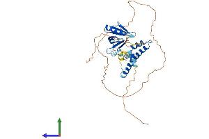 AlphaFold protein structure predicition of Mouse Recombinant Ipcef1 Protein, UniprotID Q5DU31