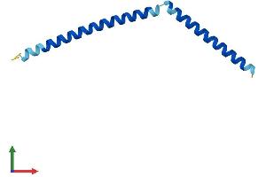 AlphaFold protein structure predicition of Human Recombinant SYCE3 Protein, UniprotID A1L190