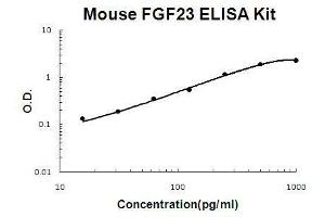 Mouse FGF23 PicoKine ELISA Kit standard curve (FGF23 Kit ELISA)
