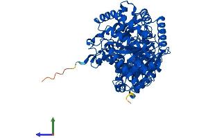 AlphaFold protein structure predicition of Mouse Recombinant Crot Protein, UniprotID Q9DC50