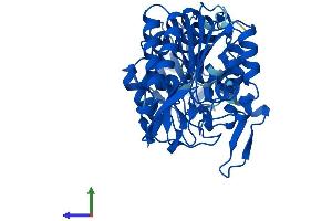AlphaFold protein structure predicition of Human Recombinant PGK2 Protein, UniprotID P07205