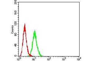 Flow cytometric analysis of HeLa cells using IGHM mouse mAb (green) and negative control (red). (IGHM anticorps  (AA 310-452))