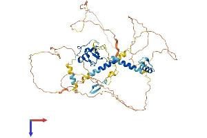 AlphaFold protein structure predicition of Mouse Recombinant Rnf220 Protein, UniprotID Q6PDX6