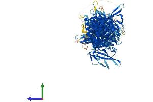 AlphaFold protein structure predicition of Human Recombinant JAK2 Protein, UniprotID O60674