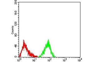 Flow cytometric analysis of HL-60 cells using CD163 mouse mAb (green) and negative control (red). (CD163 anticorps  (AA 42-259))