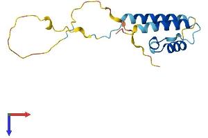 AlphaFold protein structure predicition of Mouse Recombinant Ppp1r14d Protein, UniprotID Q7TT52