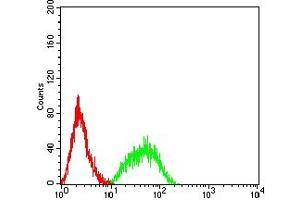 Flow cytometric analysis of HL-60 cells using CD213A1 mouse mAb (green) and negative control (red).