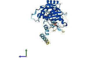 AlphaFold protein structure predicition of Mouse Recombinant Cdc123 Protein, UniprotID Q8CII2