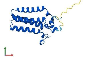 AlphaFold protein structure predicition of Mouse Recombinant Ormdl3 Protein, UniprotID Q9CPZ6