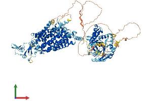 AlphaFold protein structure predicition of Human Recombinant SLC12A5 Protein, UniprotID Q9H2X9