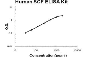 Human SCF Accusignal ELISA Kit Human SCF AccuSignal ELISA Kit standard curve. (KIT Ligand Kit ELISA)