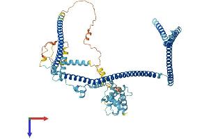 AlphaFold protein structure predicition of Human Recombinant CCDC22 Protein, UniprotID O60826