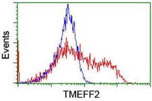 Image no. 2 for anti-Transmembrane Protein with EGF-Like and Two Follistatin-Like Domains 2 (TMEFF2) antibody (ABIN1501418) (TMEFF2 anticorps)