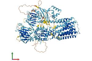 AlphaFold protein structure predicition of Mouse Recombinant Atp13a2 Protein, UniprotID Q9CTG6